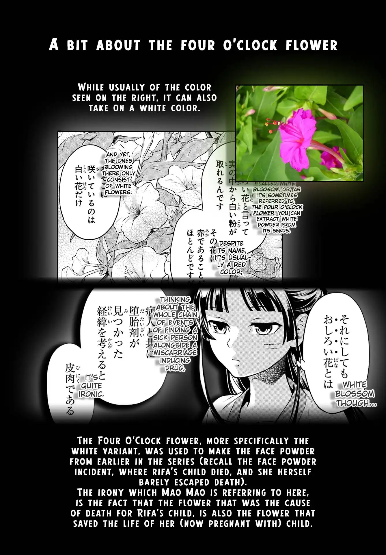 Kusuriya no Hitorigoto Chapter 52.2 19